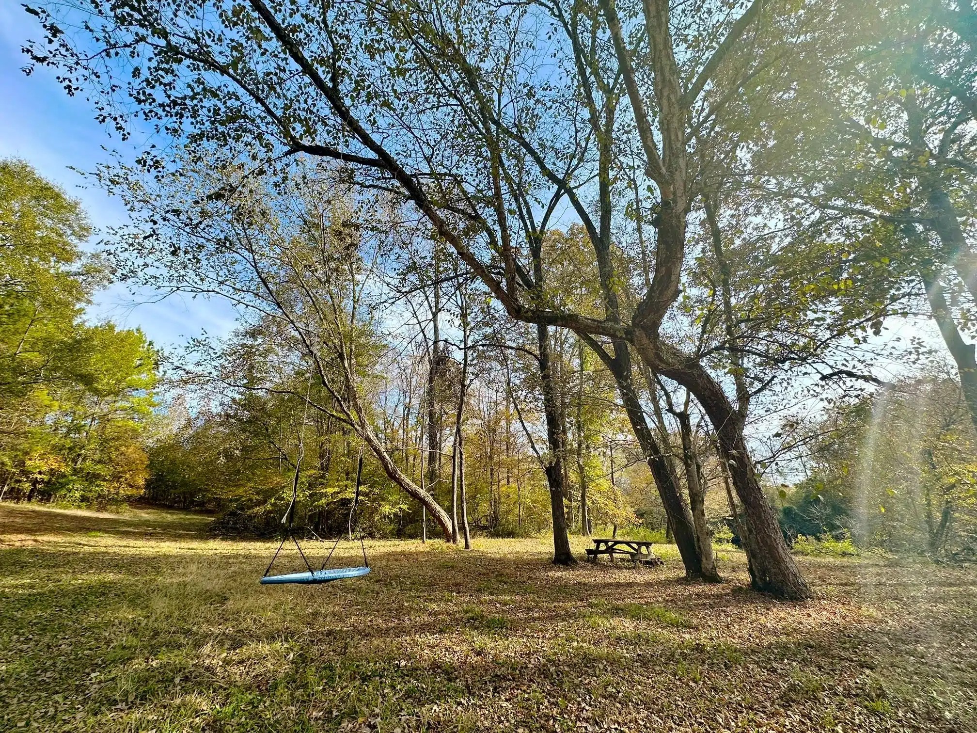Hatchett Creek Land for Sale Alabama Land Company