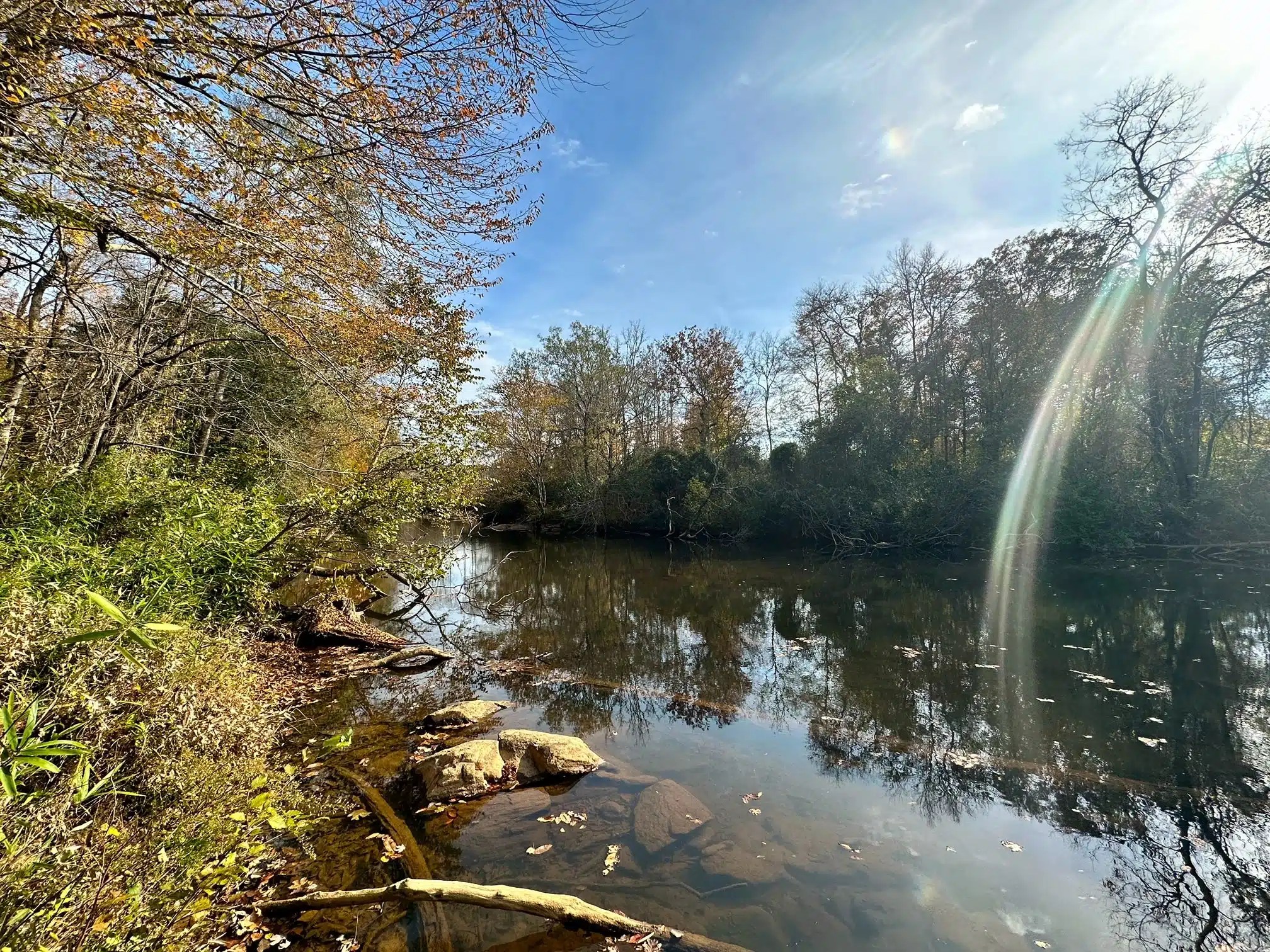 Hatchett Creek Land for Sale Alabama Land Company