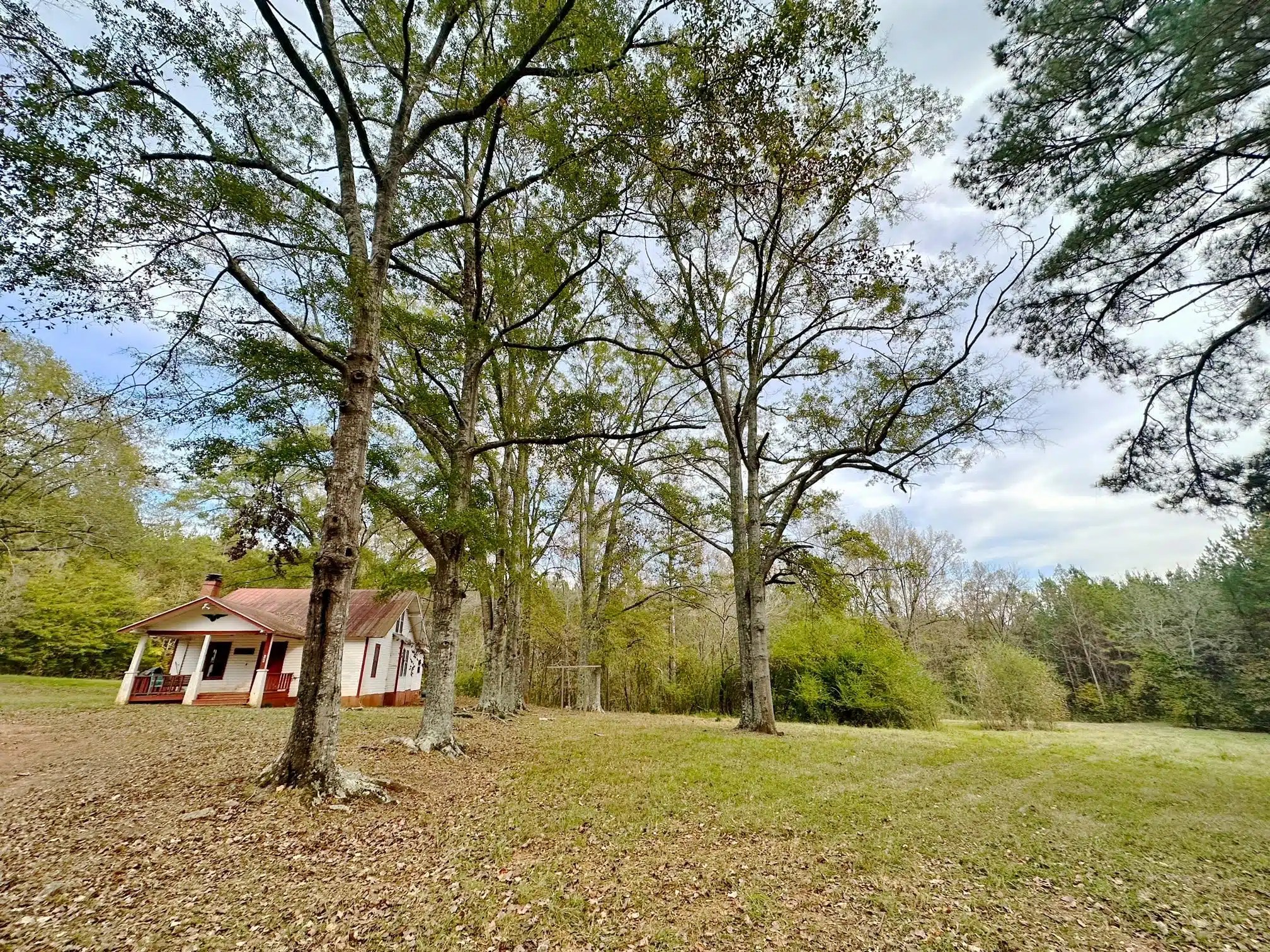 Hatchett Creek Land for Sale Alabama Land Company