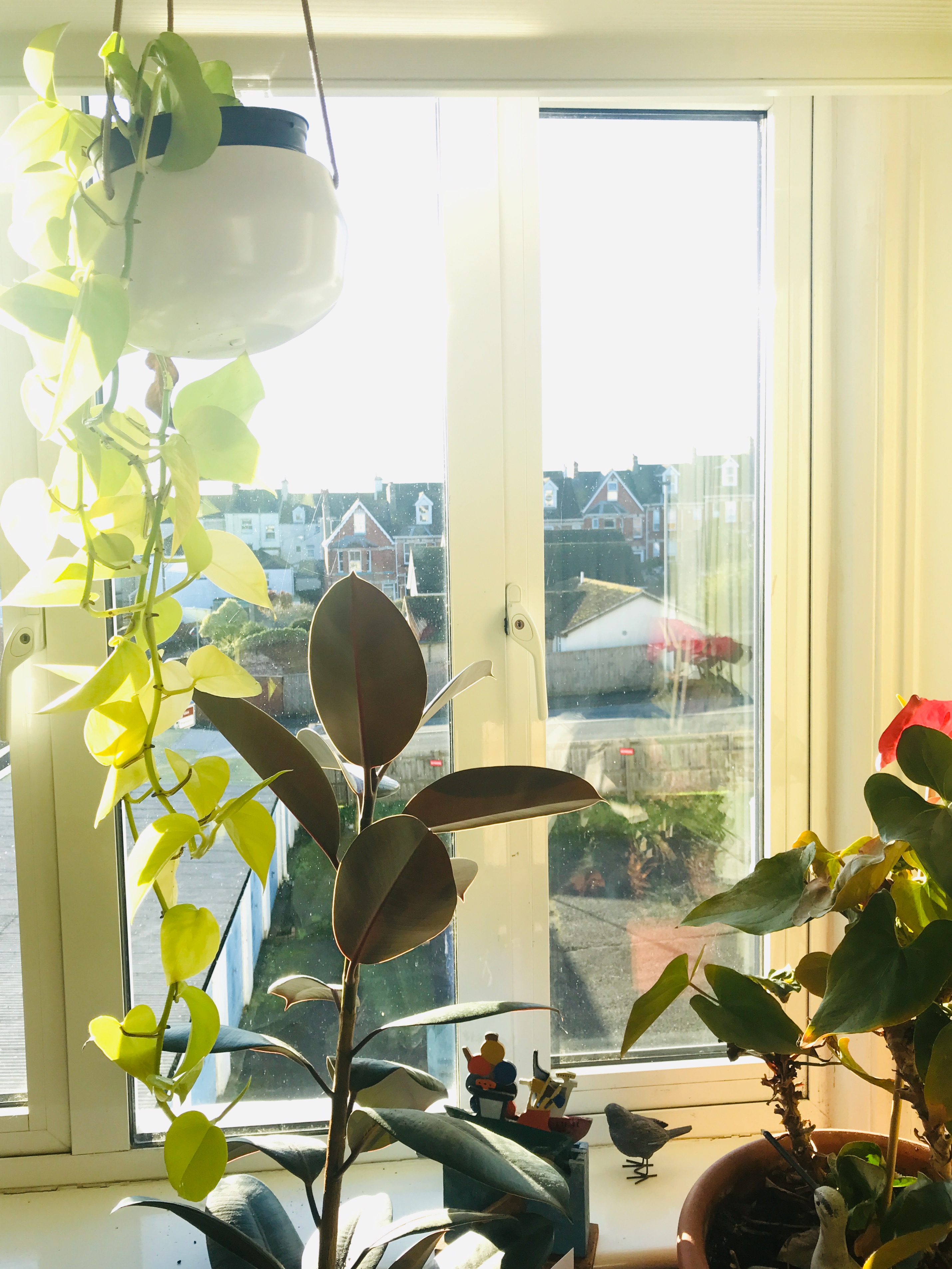 What light from yonder window breaks? Living in the future present