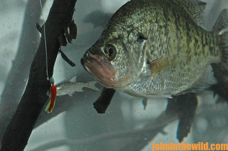 How to Catch Cold Water Crappie in January with Ohio’s Bob Jones John