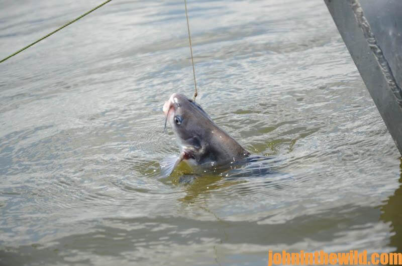 Recognizing the Importance of Where You’re Fishing and Learning the