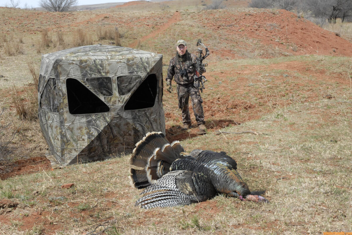 How to Locate and Take Tough Turkeys Day 5 What Are Five More