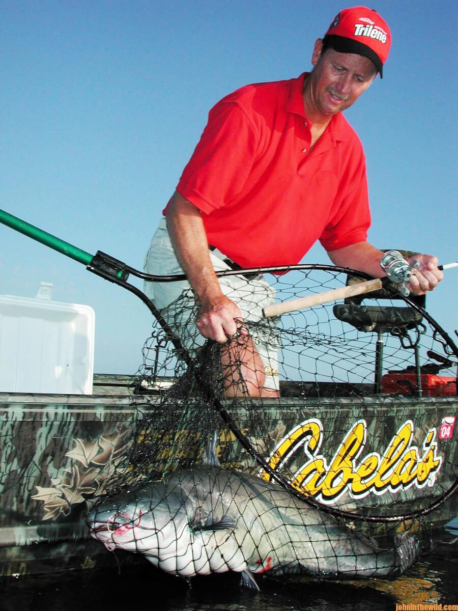 Everything You’ve Wanted to Know about Catching Catfish Day 4 Why and