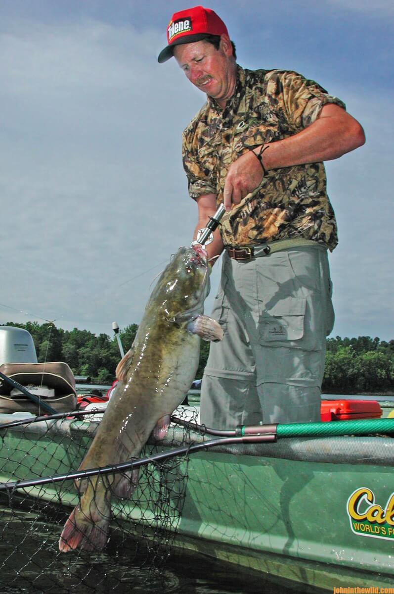 Everything You’ve Wanted to Know about Catching Catfish Day 4 Why and How to Troll for Catfish