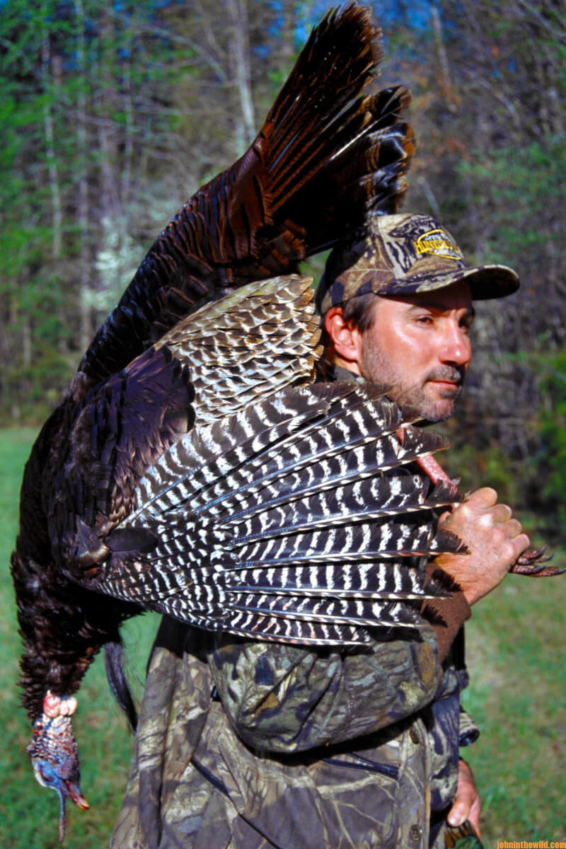 Study the Turkey Hunting Tactics of the Pros for Success Day 5 HungUp