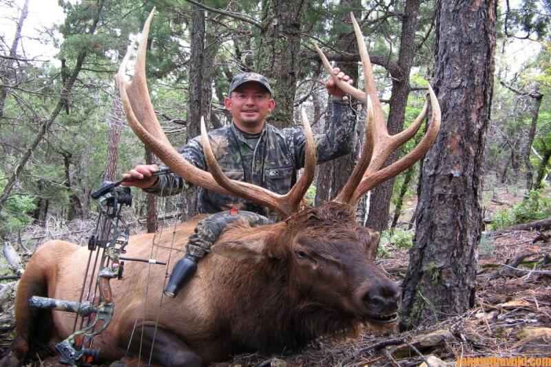 Opening Day Bull Elk and Other Wildlife Day 1 Hunt September Elk and