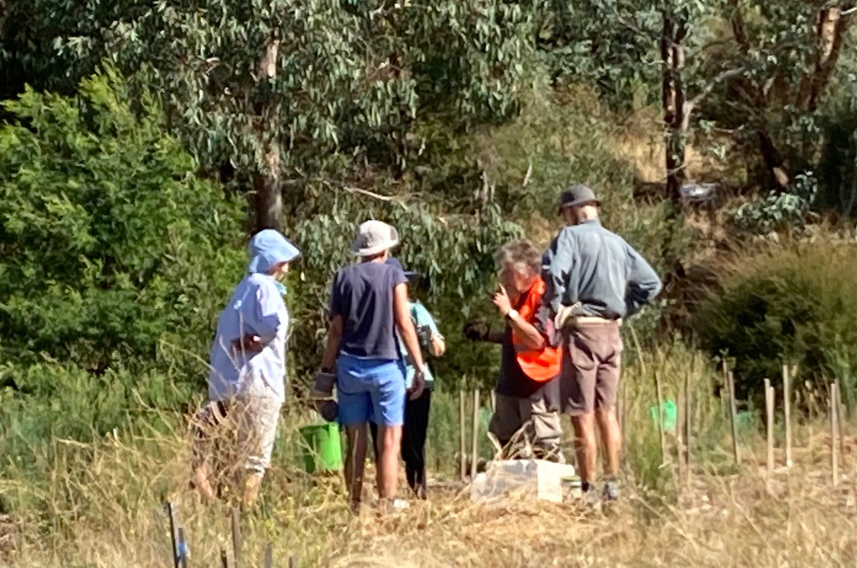 Indigenous Food and Fibre (IFF) Castlemaine Landcare Group