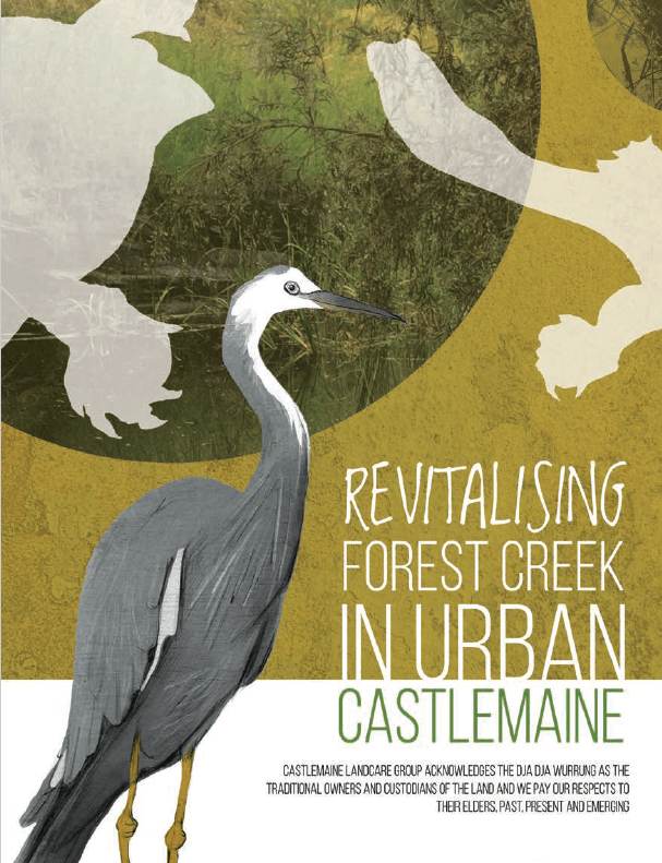 Forest Creek Revitalisation Project Castlemaine Landcare Group