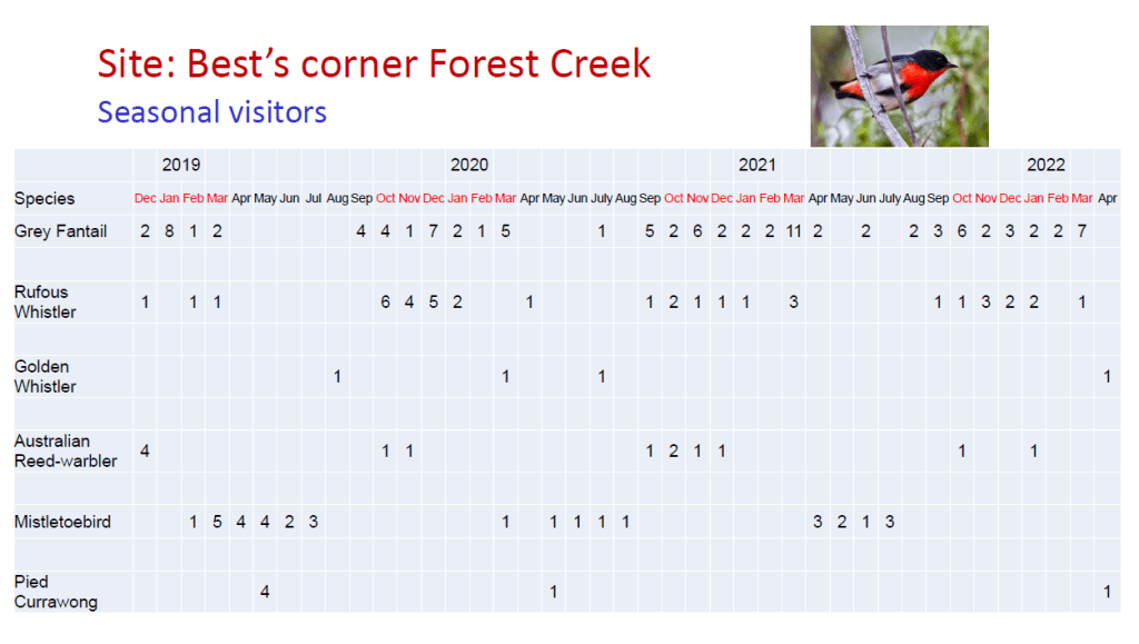 Bird Survey Castlemaine Landcare Group
