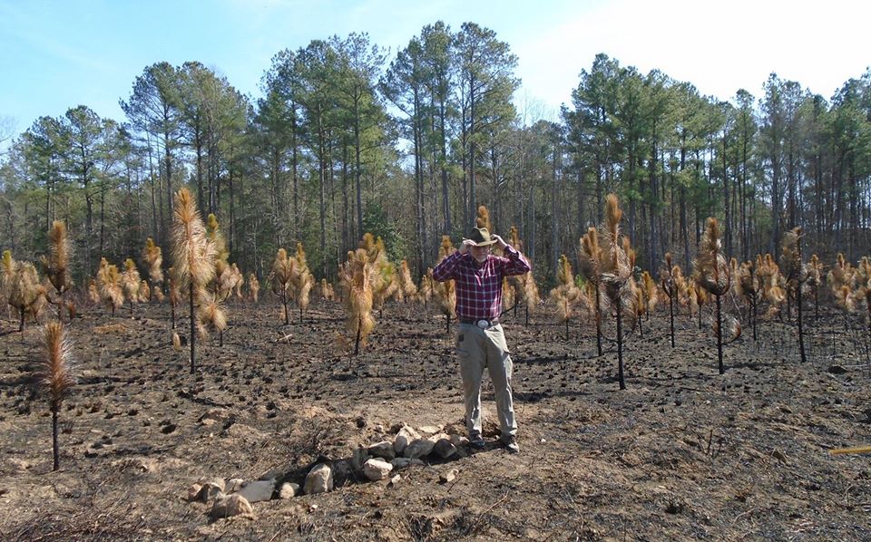 Pine burning plus two weeks WorldWide Matel