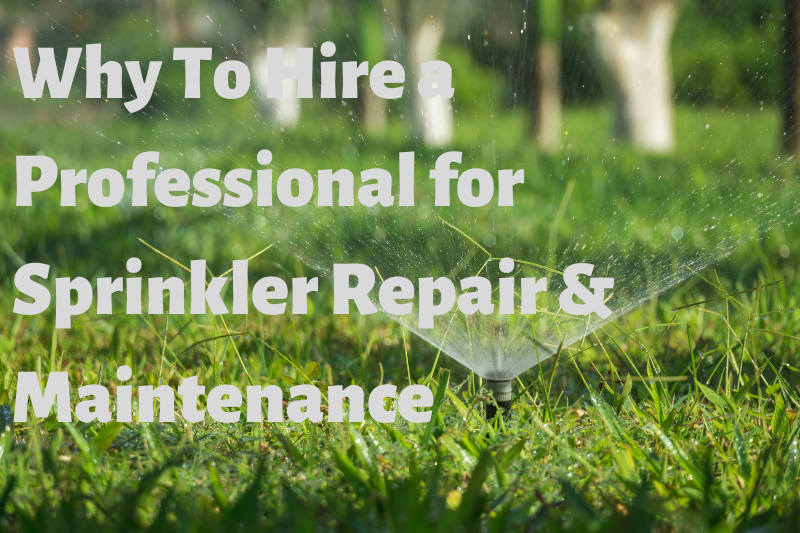 Why Hire a Professional for Sprinkler Repair and Maintenance? johnnysturf