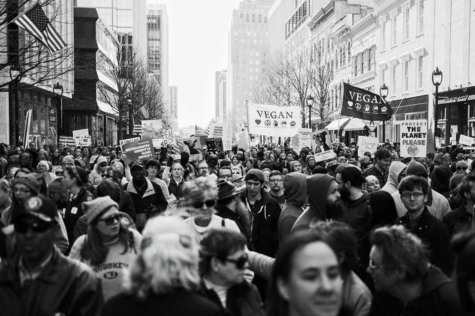 If You Still Think The Resistance is About Politics—You're