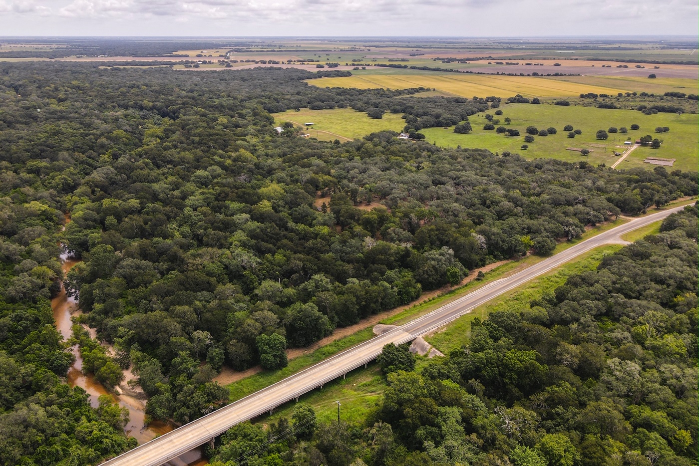 default John Petty Realtors LLC