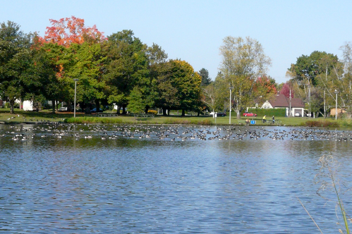 Westmoreland Park John Rakestraw