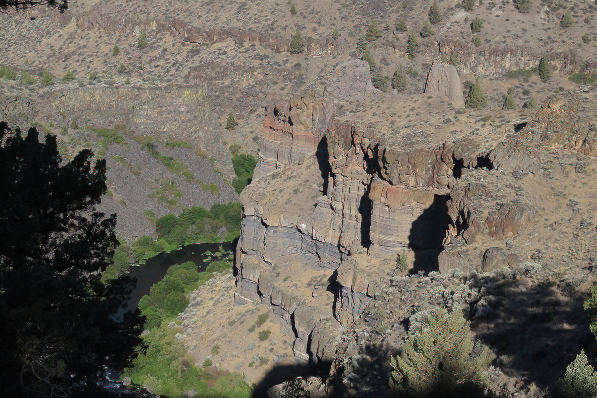 Scout Camp Loop Trail Ethical Birder