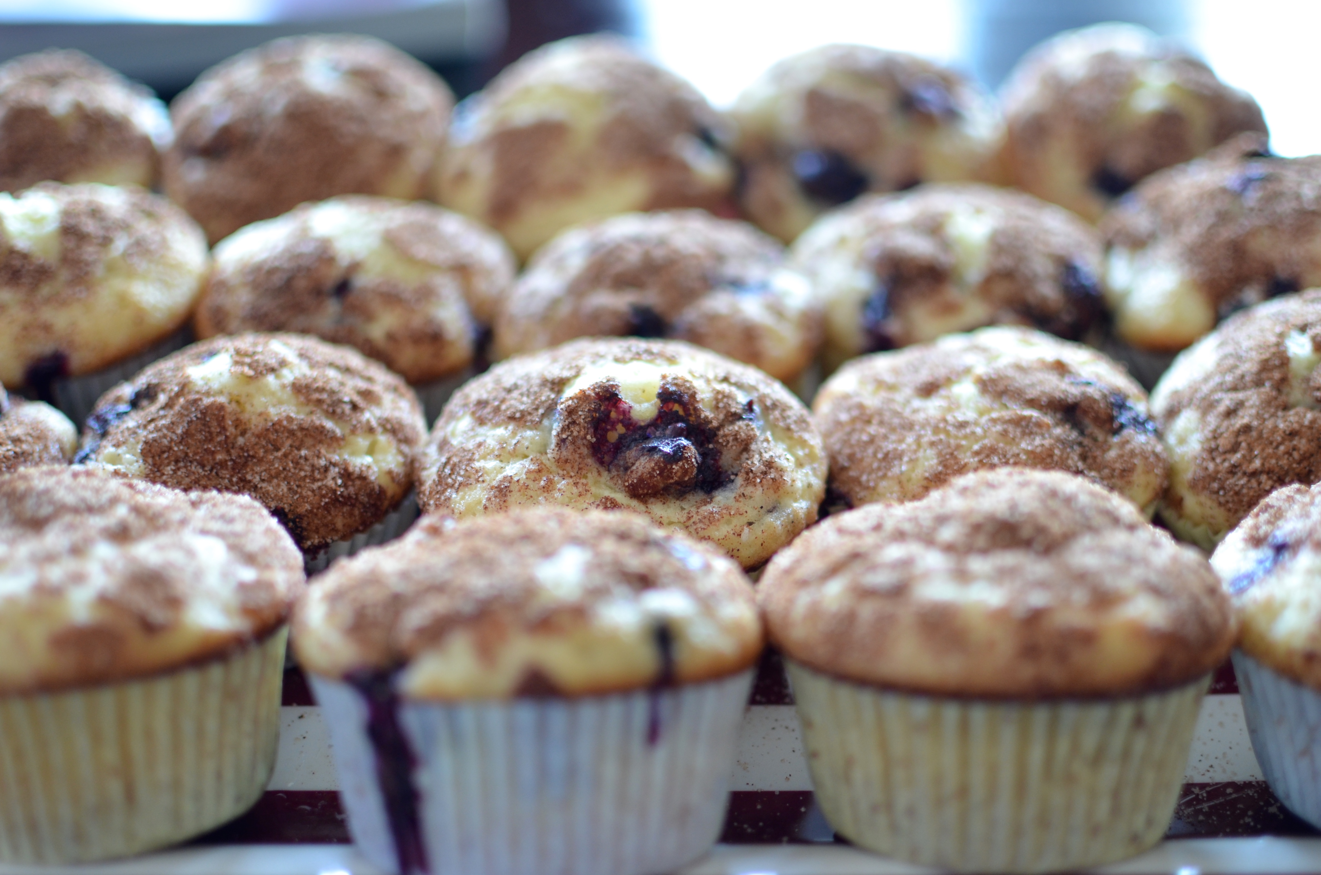 Food from the Beach House “Beach House Blueberry Muffins” Never a