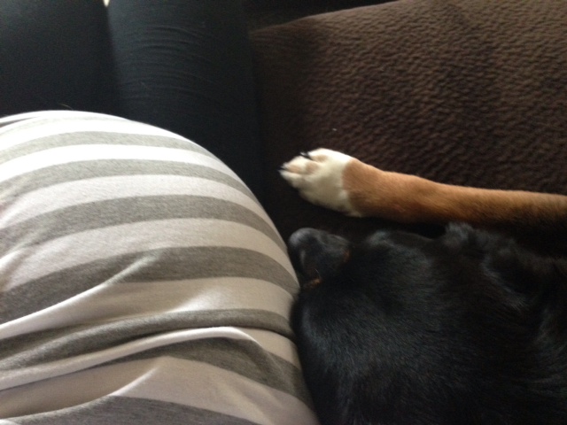 pregnancy From Wedding Rings to Baby Swings Page 2