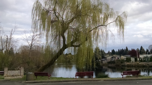 Johnson City, Oregon The small city with a big heart