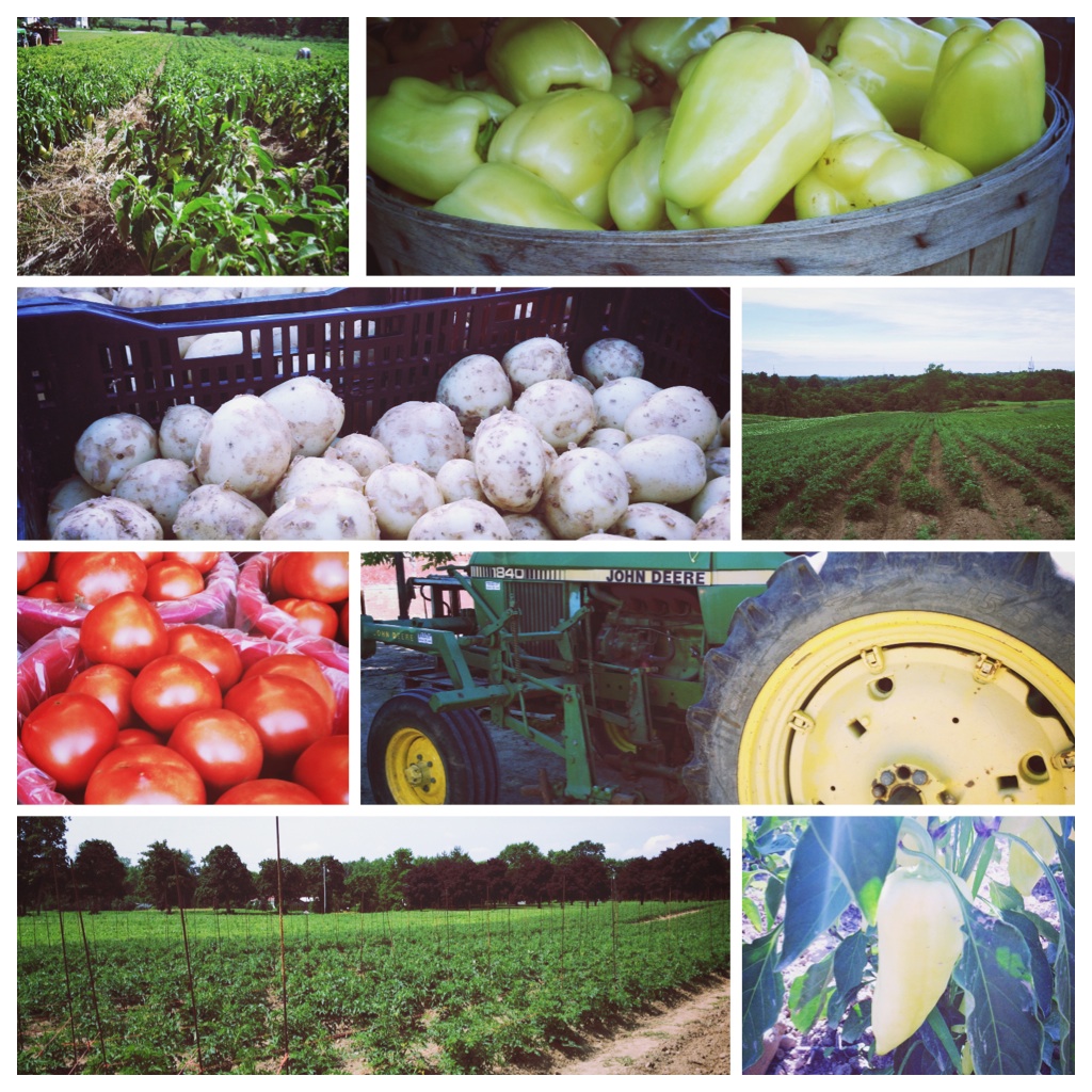 What We Grow Johnson FARMS