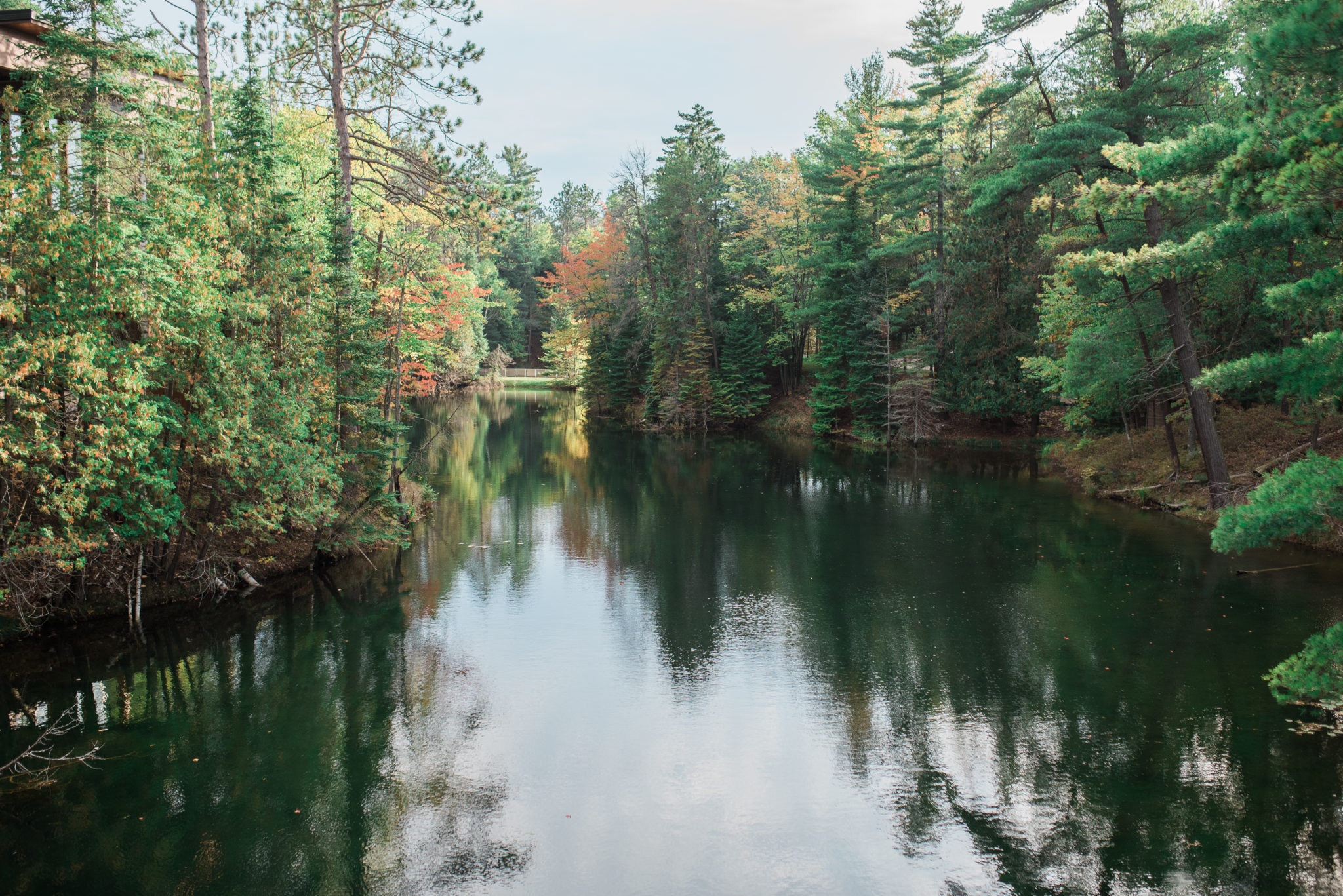Heather & Eric // Black Lake, Onaway, MI Johnson Photography, LLC Blog