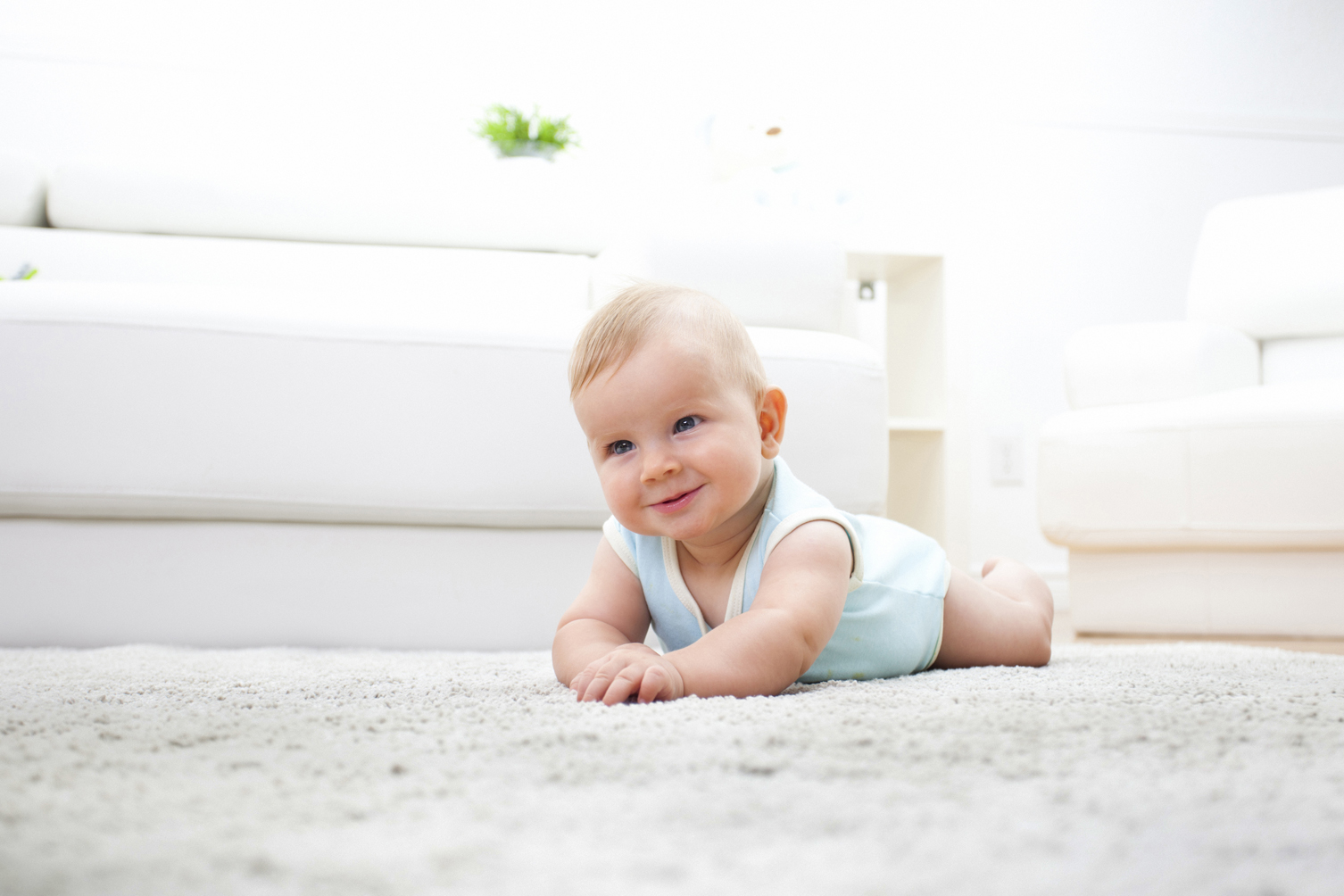 Carpet Cleaning Johnsons ChemDry