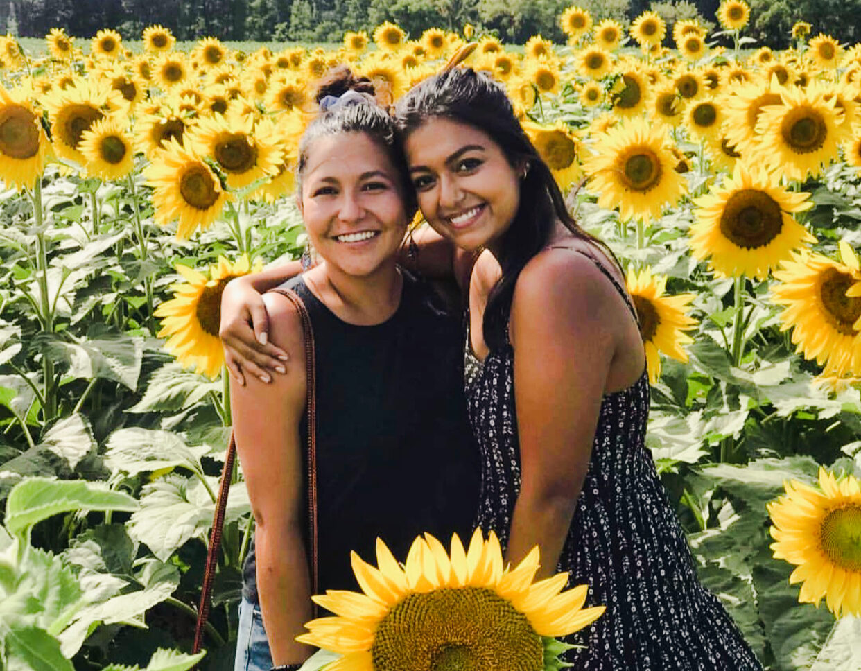 Sunflower Festival Laporte Indiana 2023 Sunflower Fields | Johnson's Farm Produce-Hobart, In