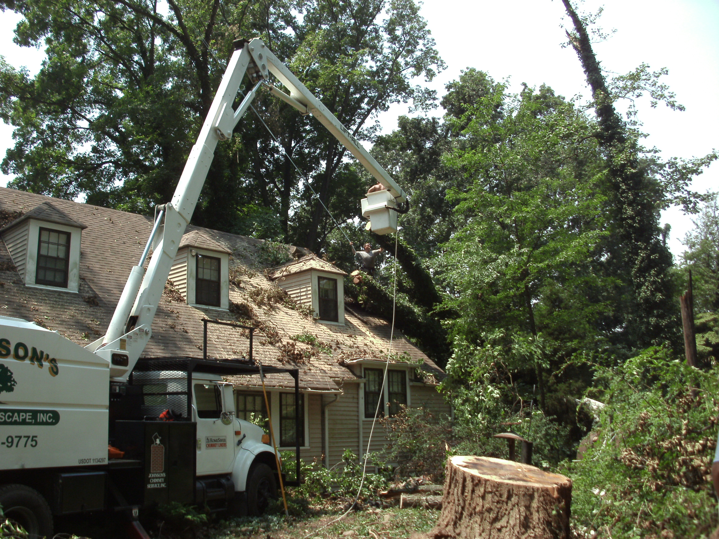 Tree Removal Johnson's Tree Service