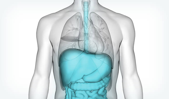 Heartburn & Acid Reflux Dr. John Uecker