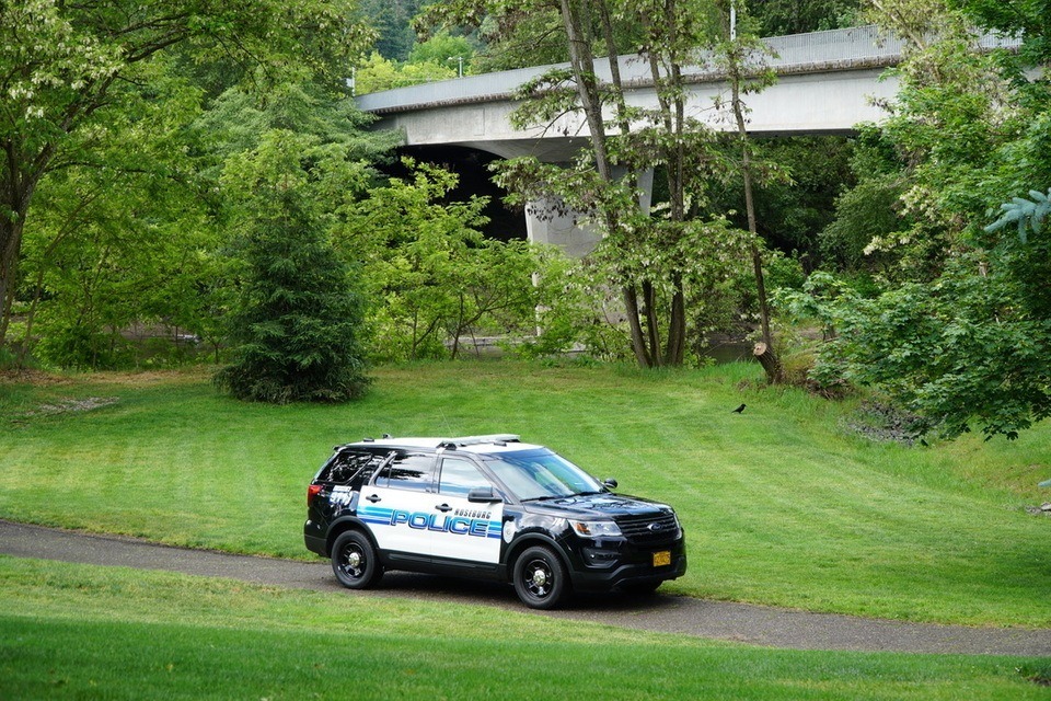 Roseburg Police Department Patrol Logs 8/29/2019