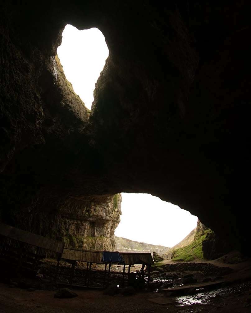 Be the Love that birthed you