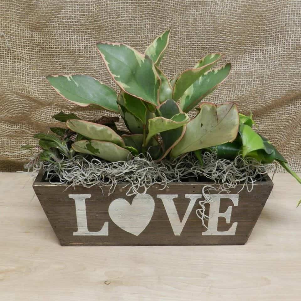 Join In Jackson Partner Spotlight Beck's Flower Shop & Gardens