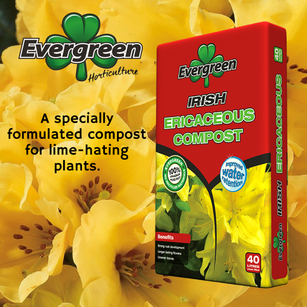 Evergreen Ericaceous Compost 40 Ltr Large Bag 100 Peat Jointing