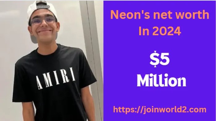 Net worth neon