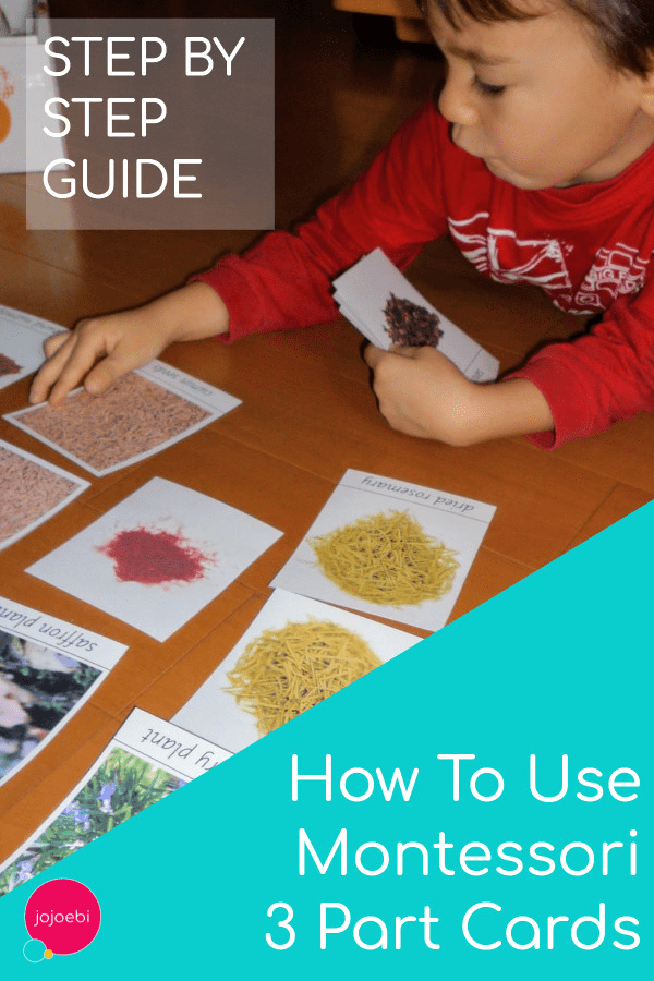 How to use Montessori 3part cards (+free printables) jojoebi