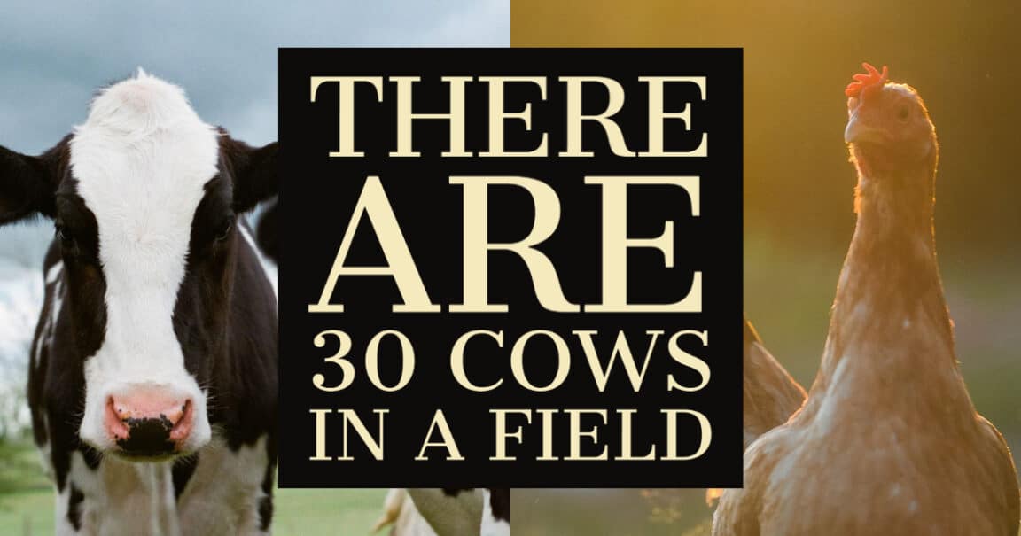 There are 30 cows Jokes and Riddles