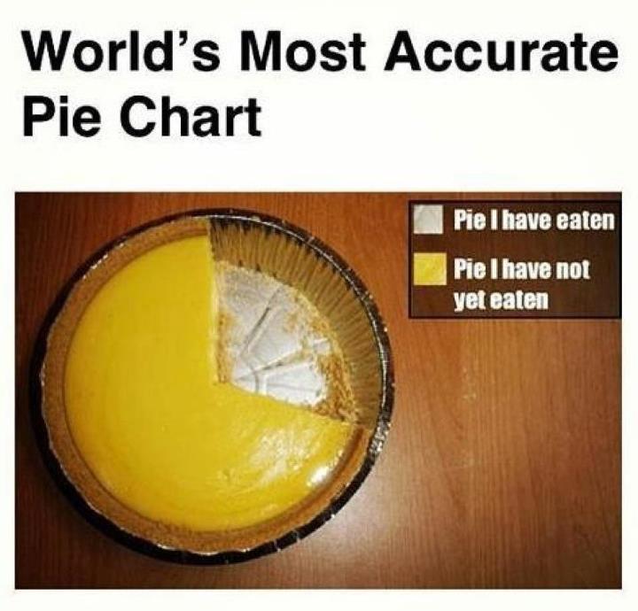 Jokes & Fun World's Most Accurate Pie Chart