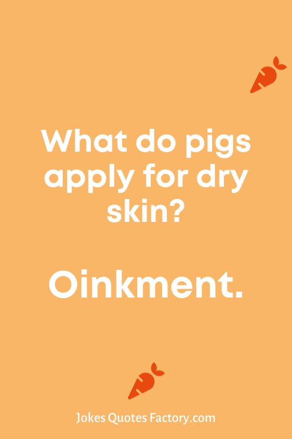 78 Dry Humor Jokes That Will Make You Laugh Out Loud 2024