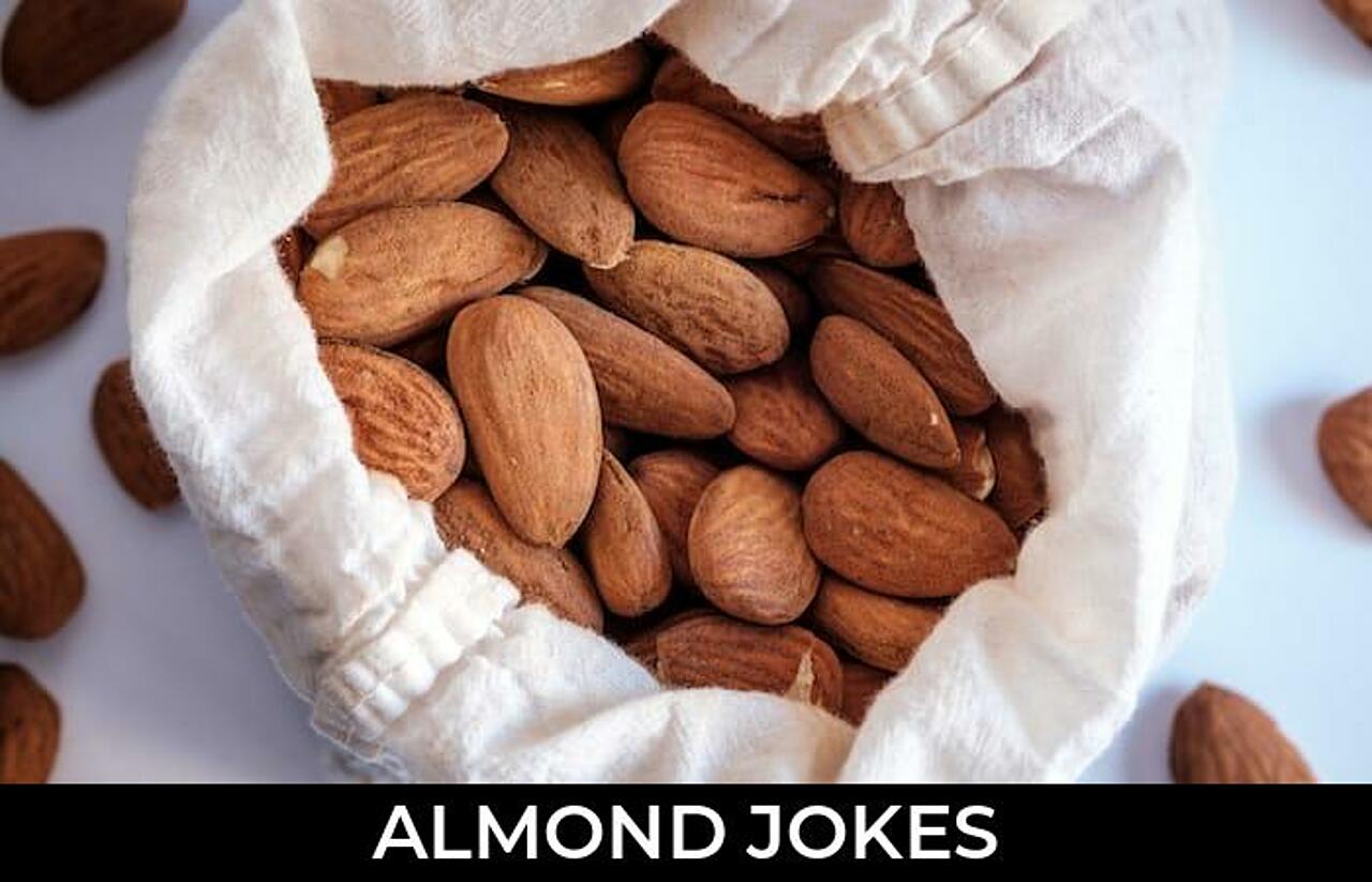 35+ Almond Jokes And Funny Puns JokoJokes