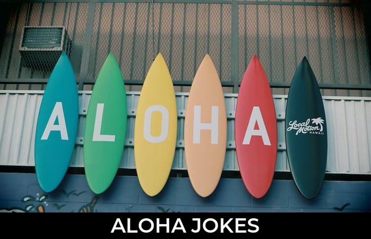 52+ Aloha Jokes And Funny Puns JokoJokes