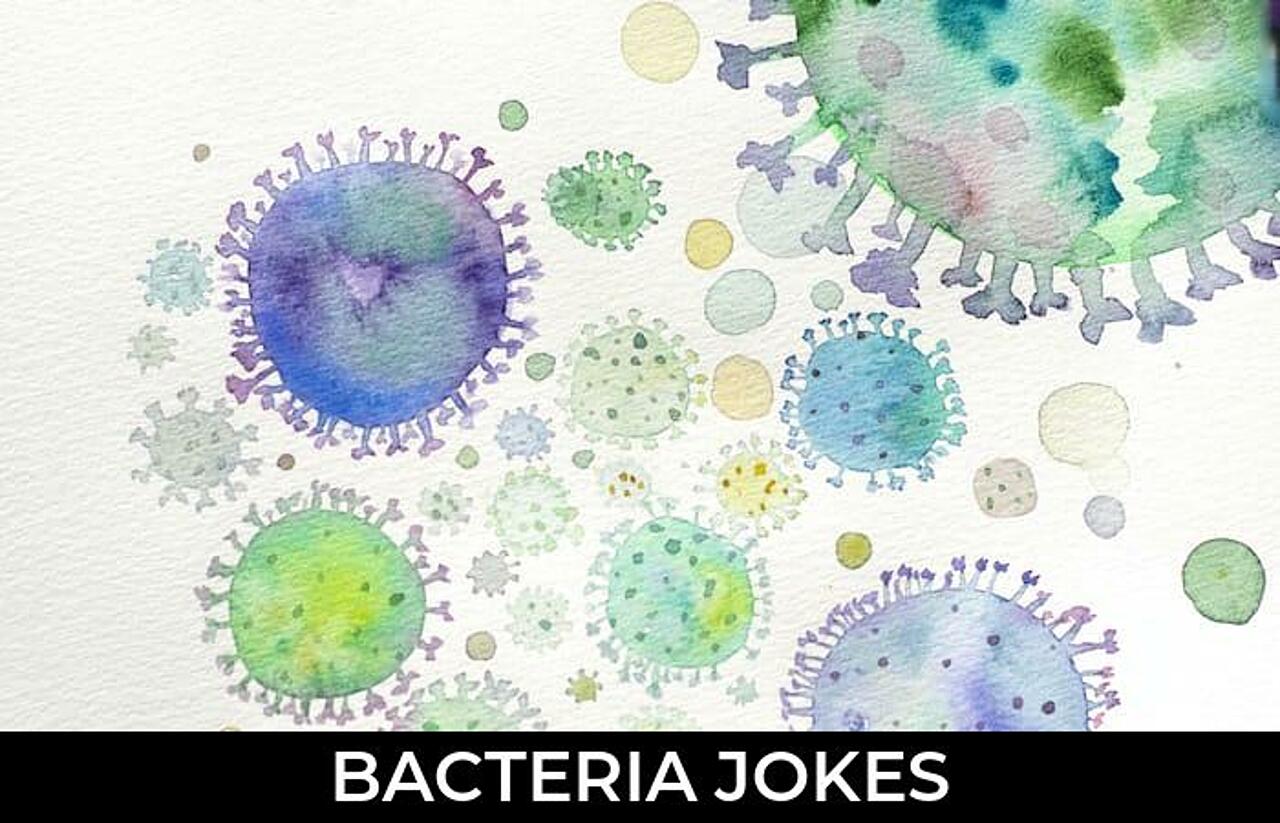 74+ Bacteria Jokes And Funny Puns JokoJokes