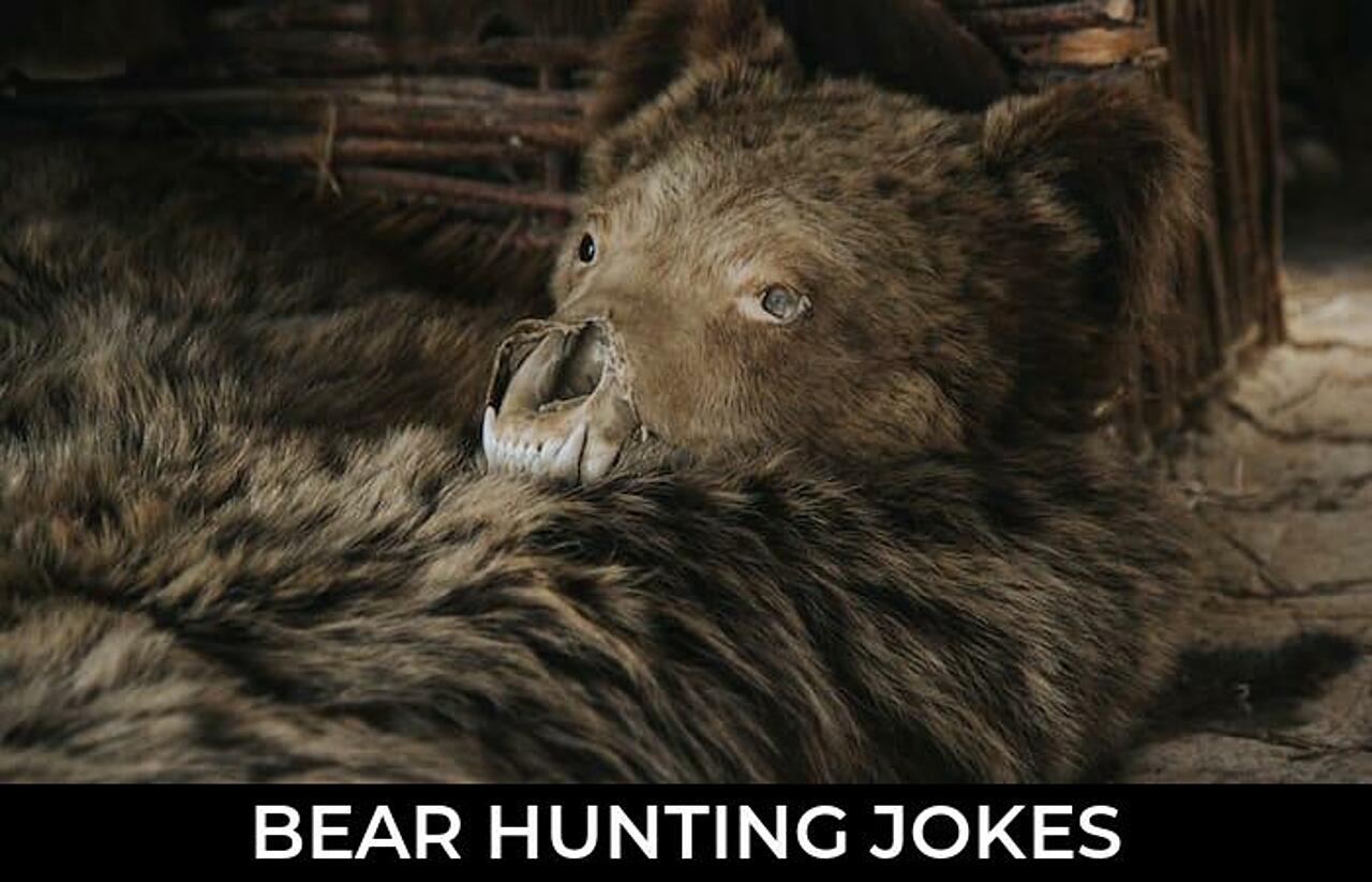32+ Bear Hunting Jokes To Make Fun JokoJokes