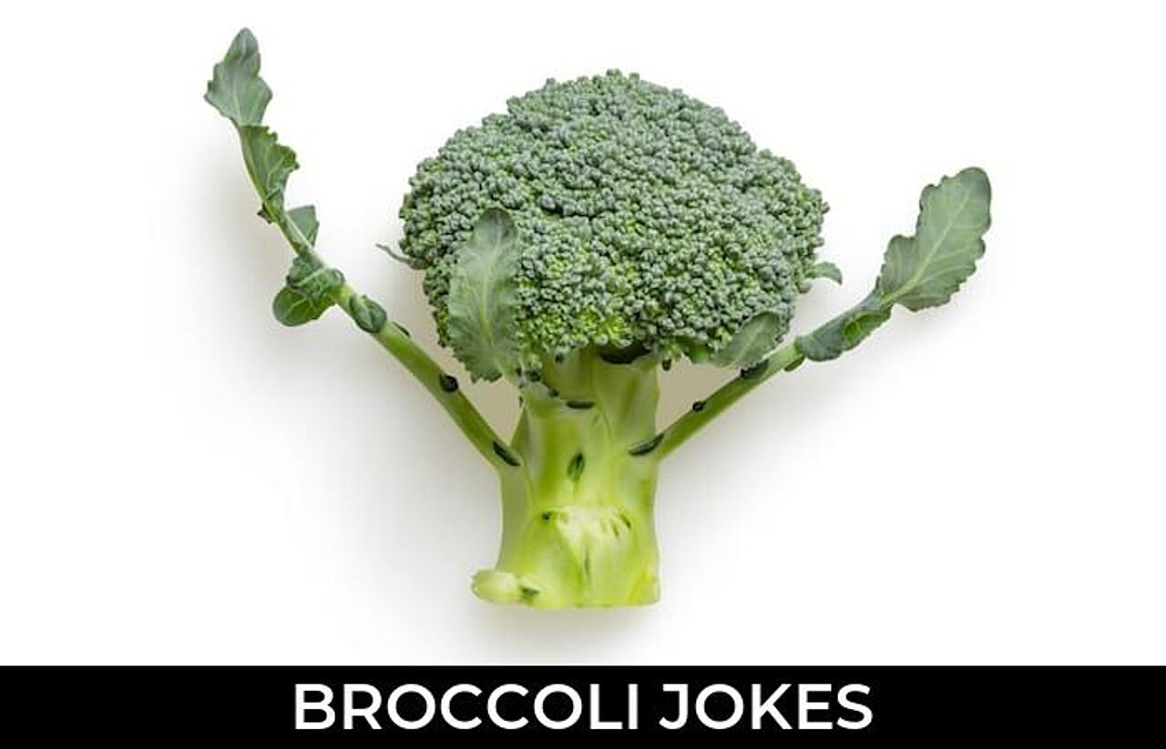85+ Broccoli Jokes And Funny Puns JokoJokes