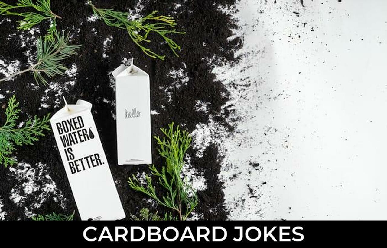 89+ Cardboard Jokes And Funny Puns JokoJokes