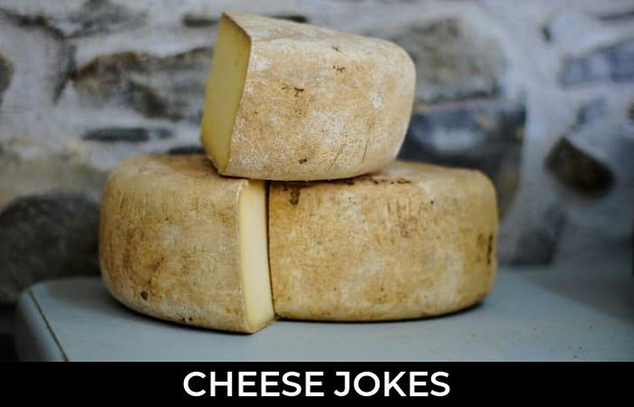 167+ Cheese Jokes And Funny Puns JokoJokes