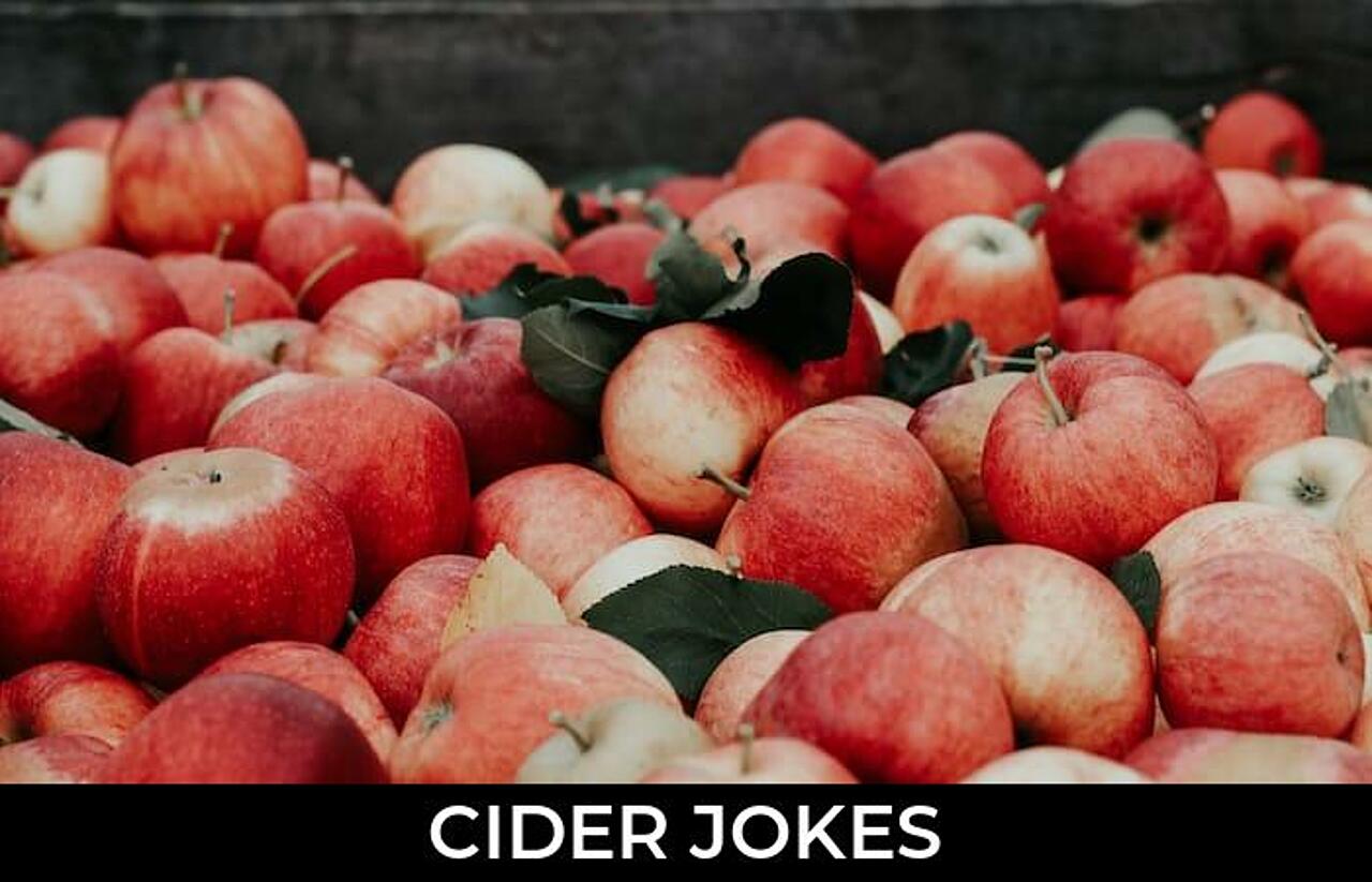 79+ Cider Jokes And Funny Puns JokoJokes