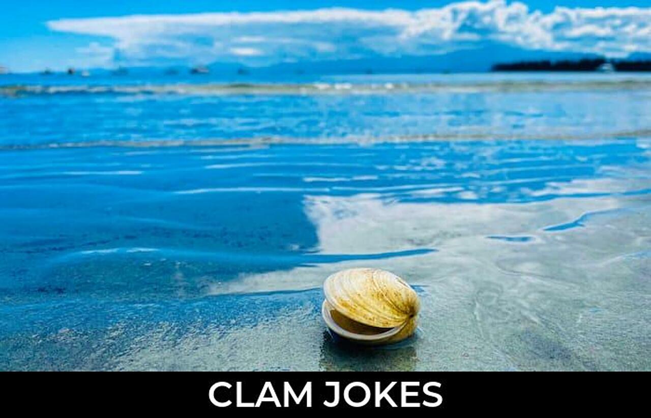 56+ Clam Jokes And Funny Puns JokoJokes