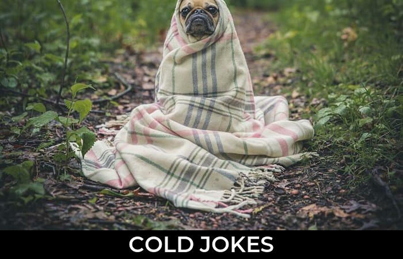 160+ Cold Jokes And Funny Puns JokoJokes