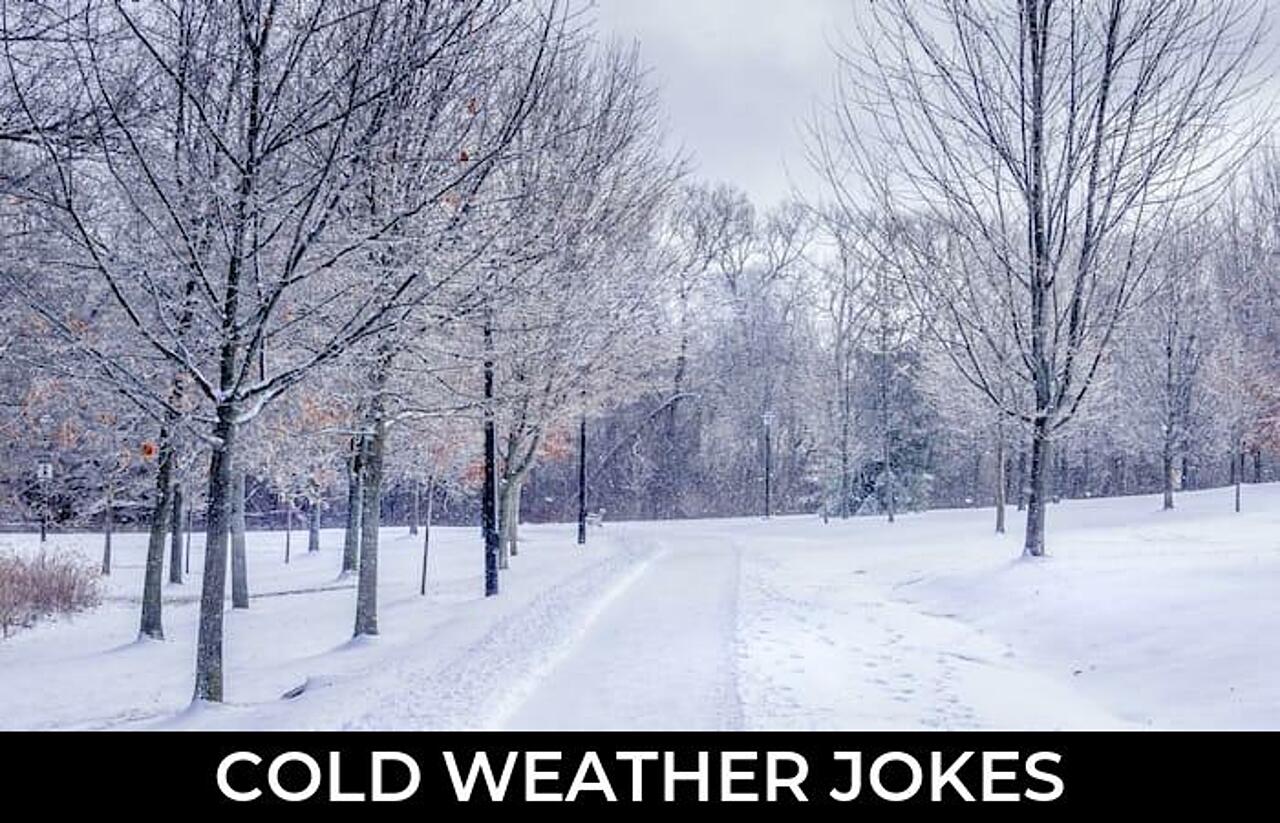 49+ Cold Weather Jokes And Funny Puns JokoJokes