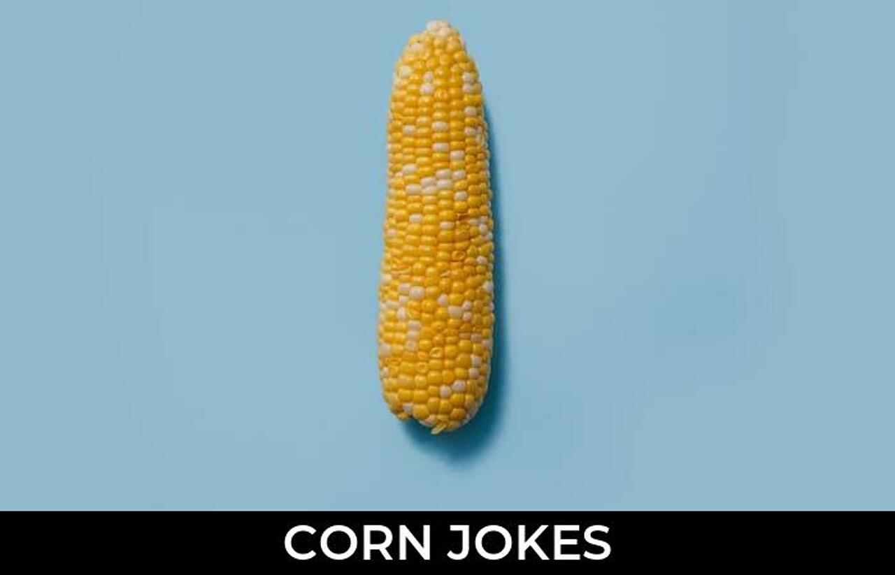 181+ Corn Jokes And Funny Puns JokoJokes